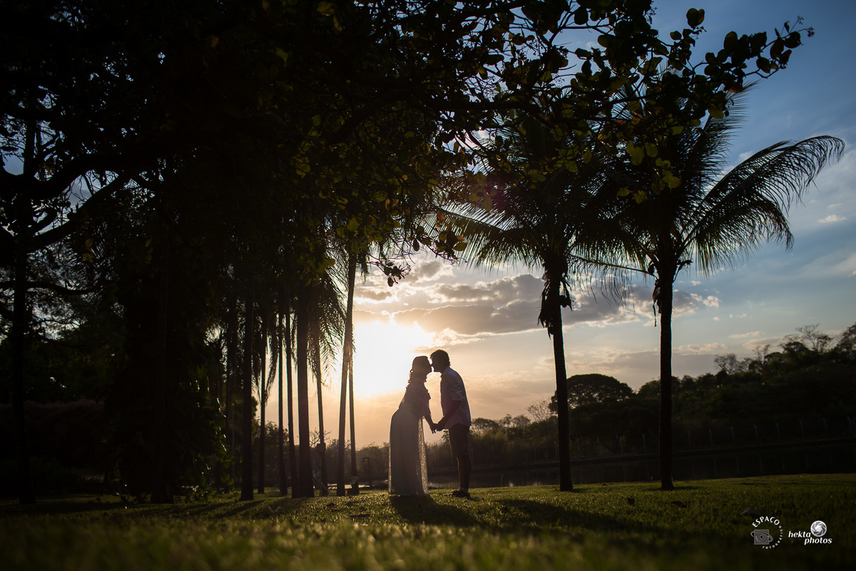 silhueta com palmeiras e por do sol