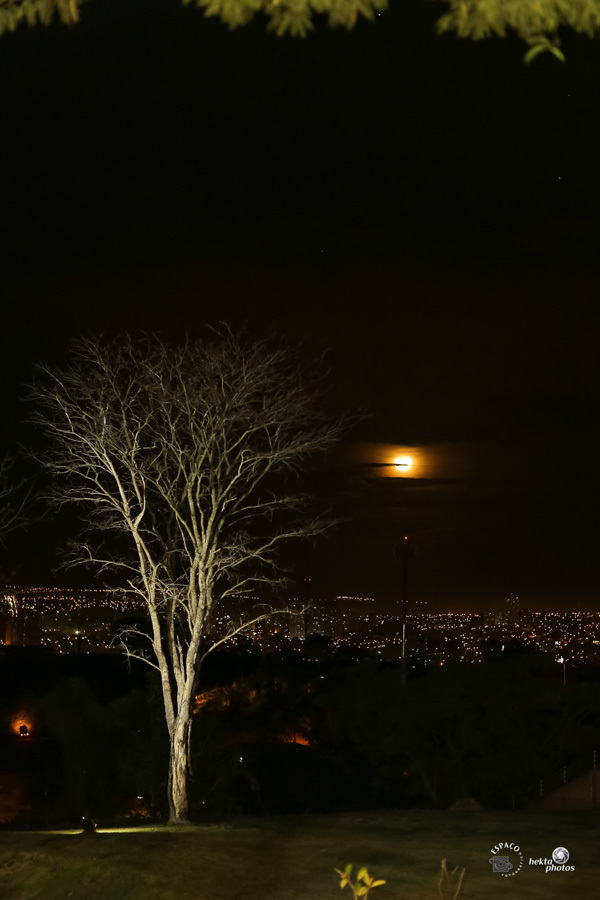 decoração de casamento