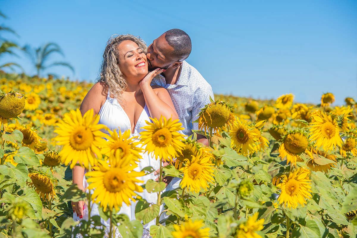 Fotos casal nos Girassóis