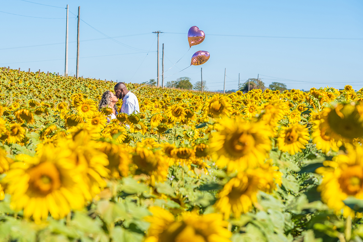 Fotos casal nos Girassóis