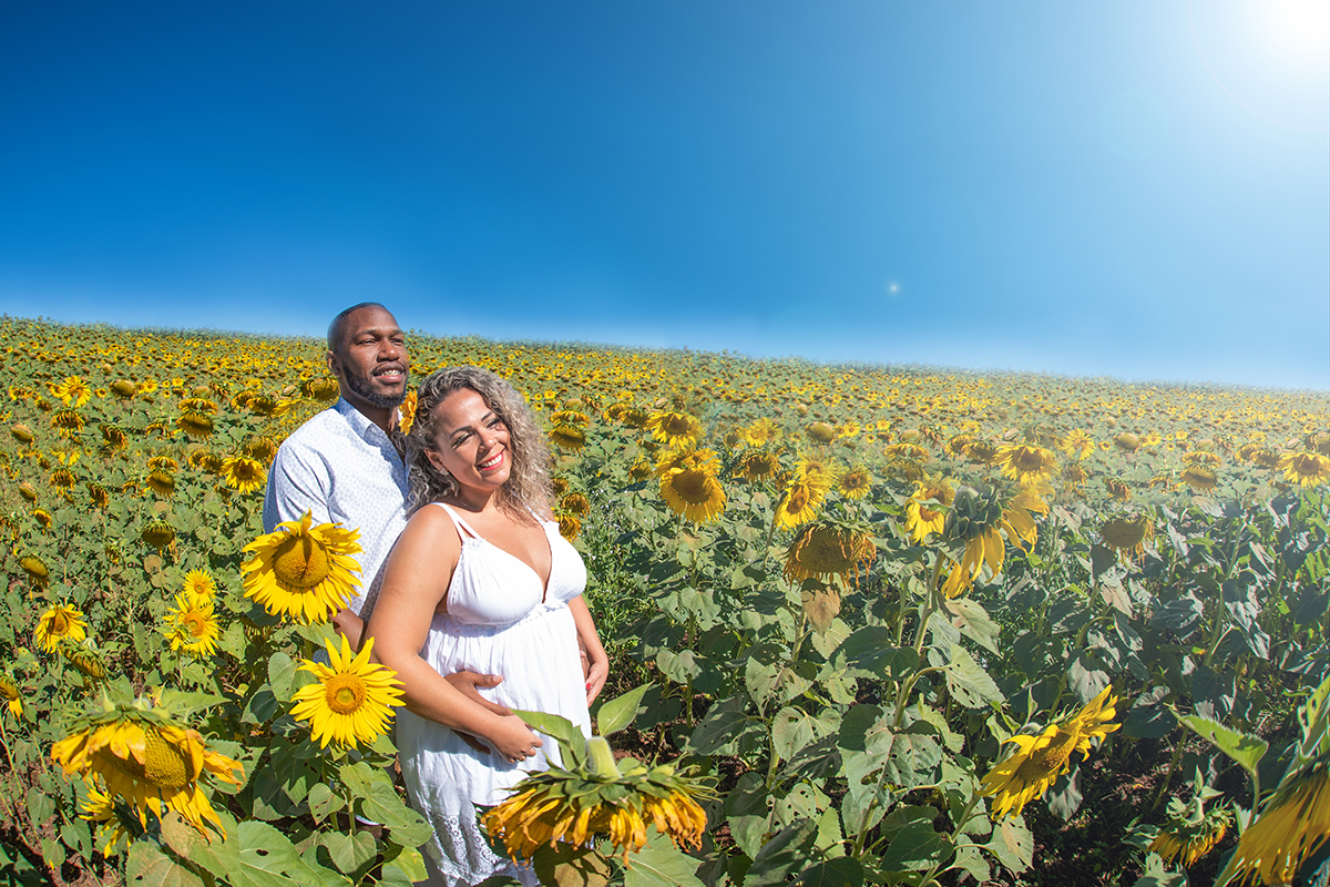Fotos casal nos Girassóis