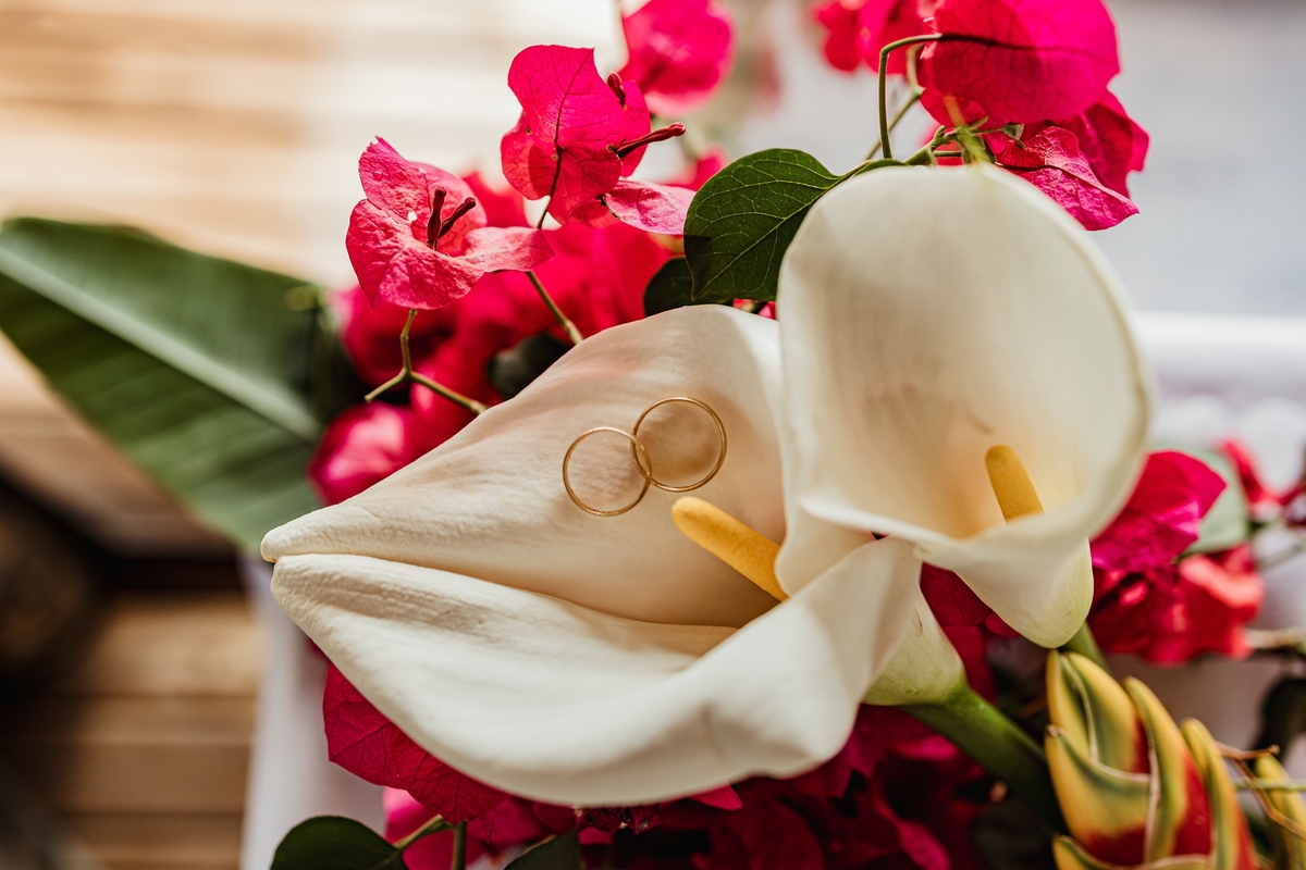 aliança casamento