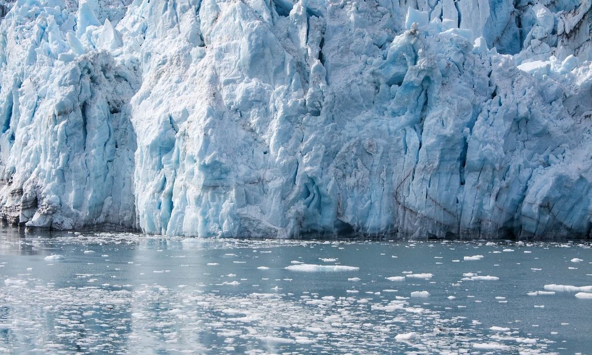 Casamento no Polo Norte