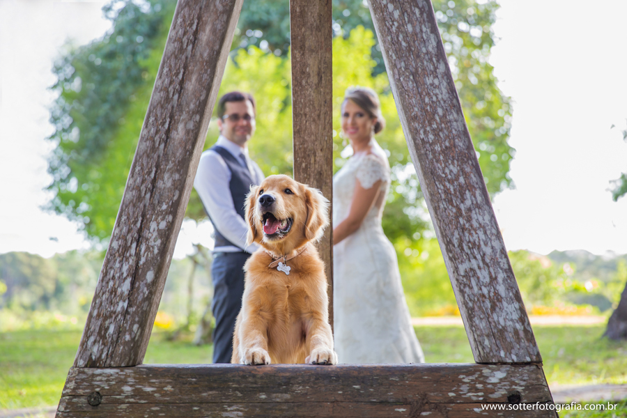 trash the drass, porto seguro, trancoso, arraial dajuda, casamento , casar ,  vestido de noiva , noiva classica , veu de noiva , lapis de noiva, bride , ensaio com cachorro , odhin , noivos ,casar na bahia , fotografo de casamento em trancoso , fotografo 
