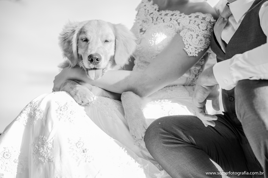 trash the drass, porto seguro, trancoso, arraial dajuda, casamento , casar ,  vestido de noiva , noiva classica , veu de noiva , lapis de noiva, bride , ensaio com cachorro , odhin , noivos ,casar na bahia , fotografo de casamento em trancoso , fotografo 