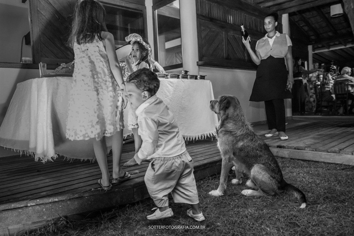 CACHORRO NO CASAMENTO, OBSERVANDO A MOÇA FAZER COMIDA 