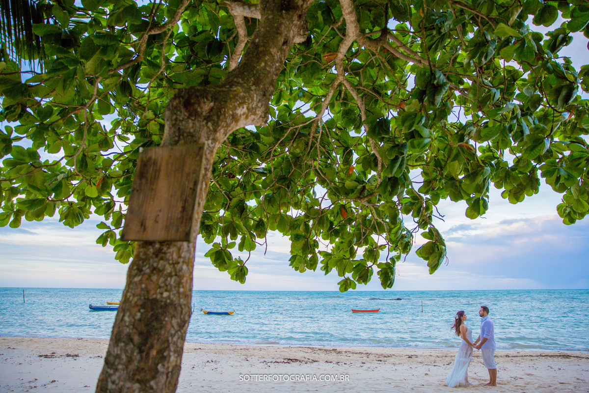 arvore na praia e noivos de maos dadas proximos ao mar em um dia lindo sotter fotografia 
