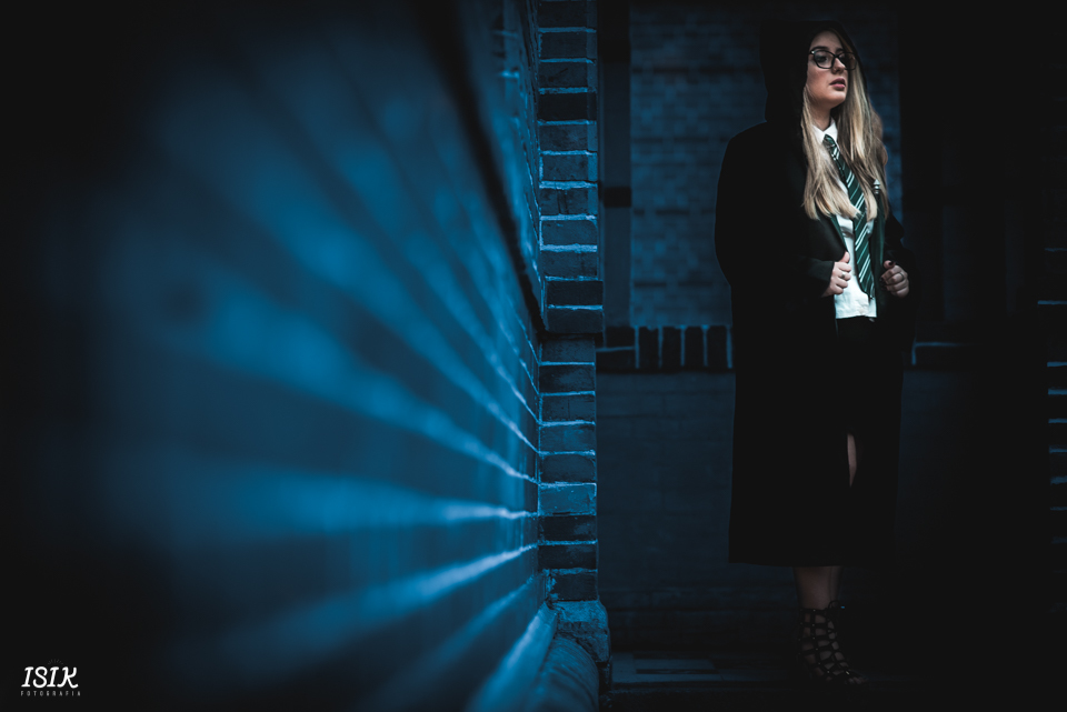 book 15 anos Harry Potter juiz de fora 