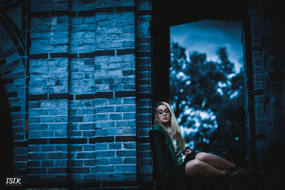 ensaio temático 15 anos Harry Potter