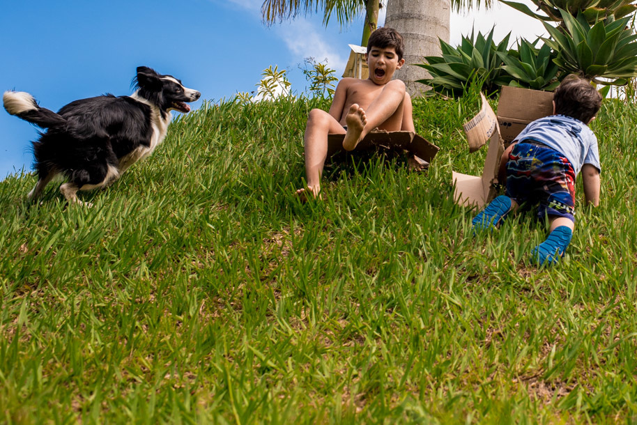 Best Collection Inspiration Awards Family 