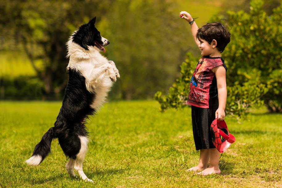 Best Collection Inspiration Awards Family 