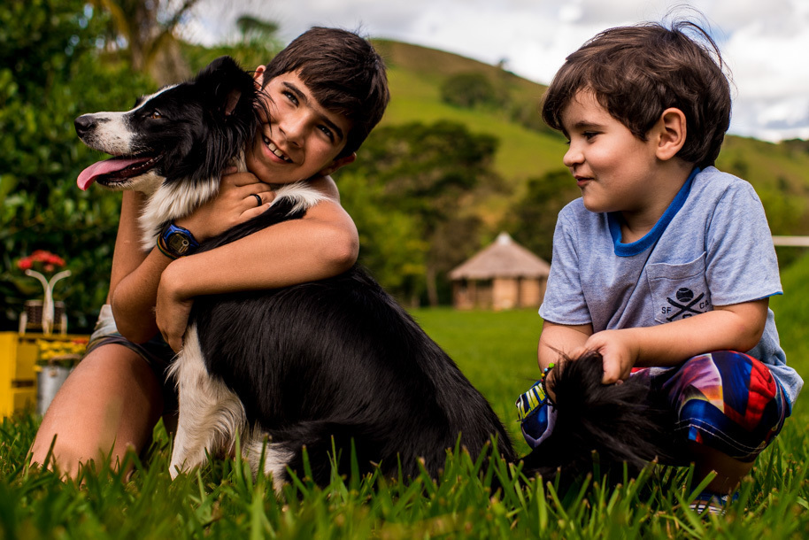 Best Collection Inspiration Awards Family 