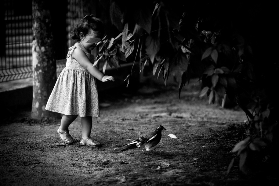 Best Collection Inspiration Awards Family 