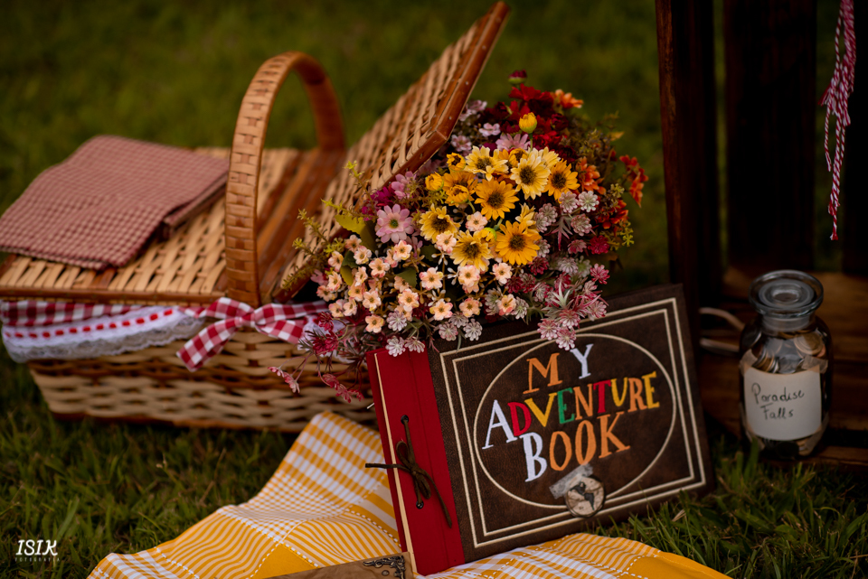 ensaio pré-casamento juiz de fora ensaio temático 
ensaio temático filme UP Altas 
Aventuras 
e-session 
ensaio noivos
book noivos 