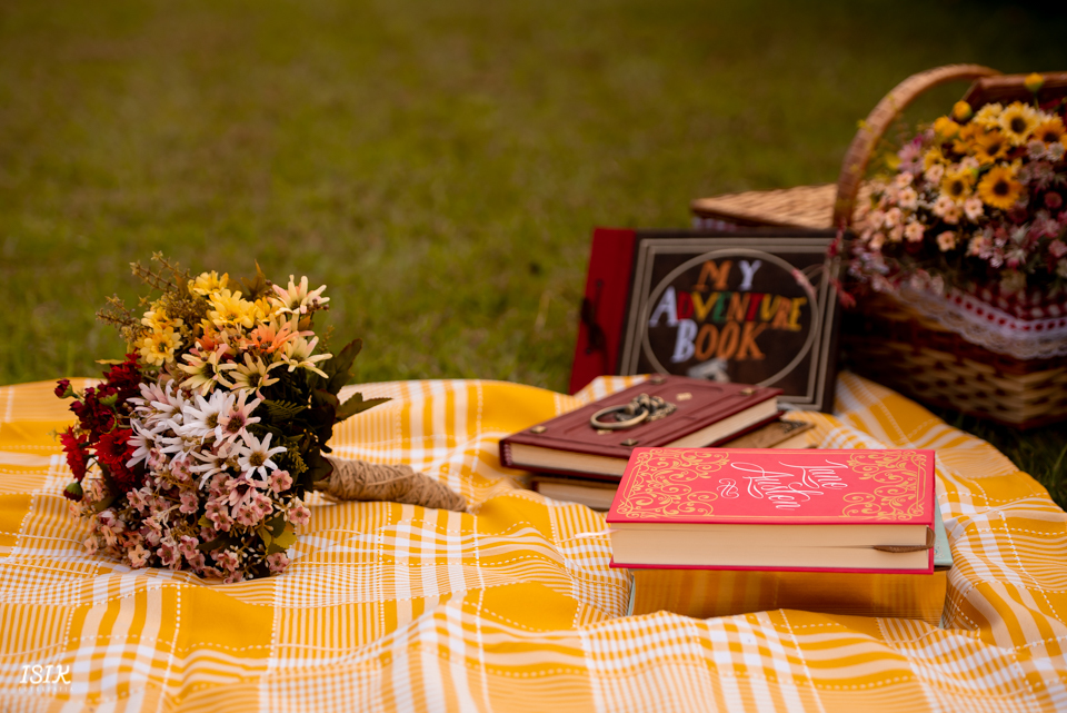 ensaio pré-casamento juiz de fora ensaio temático 
ensaio temático filme UP Altas 
Aventuras 
e-session 
ensaio noivos
book noivos 