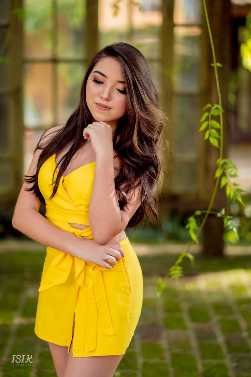 ensaio 15 anos ensaio debutante ensaio feminino book 15 anos 