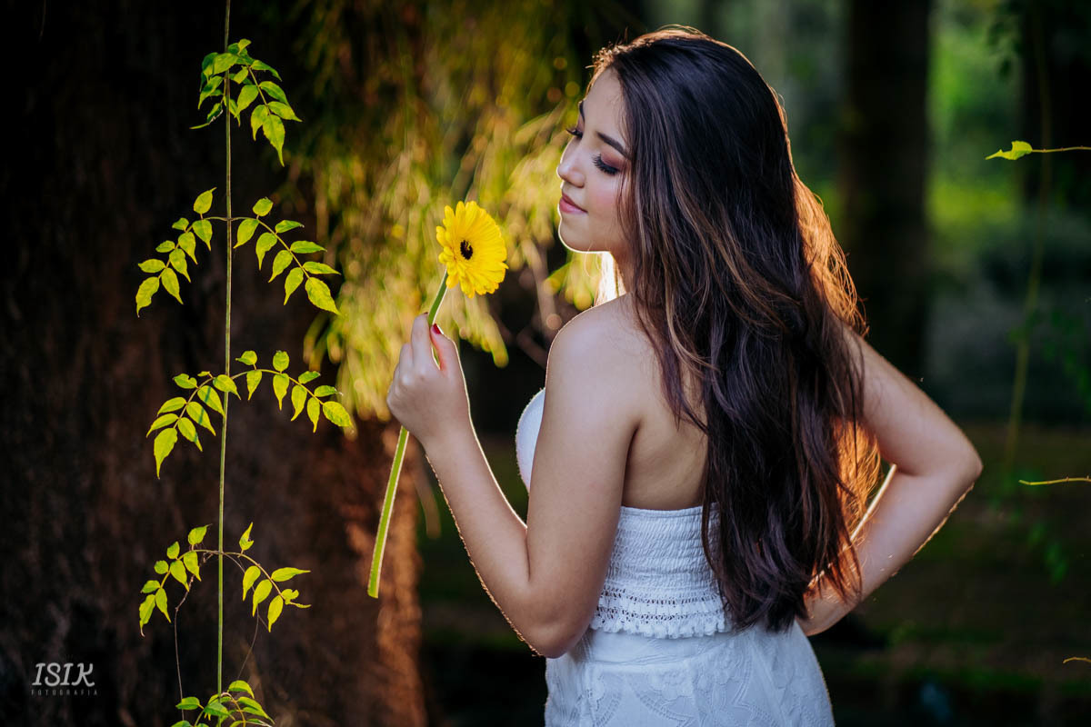 ensaio 15 anos ensaio debutante ensaio feminino book 15 anos 