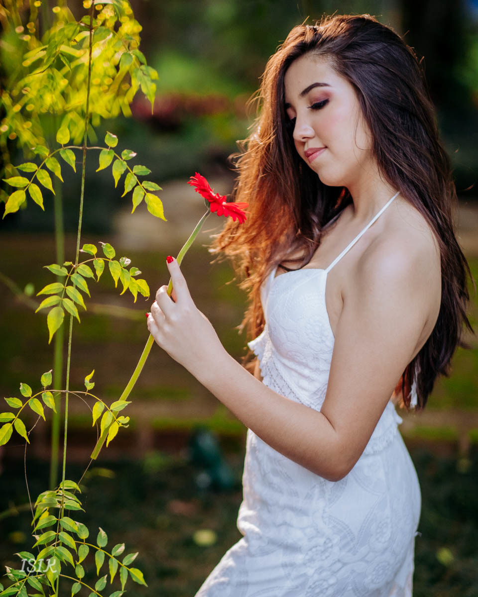ensaio 15 anos ensaio debutante ensaio feminino book 15 anos 