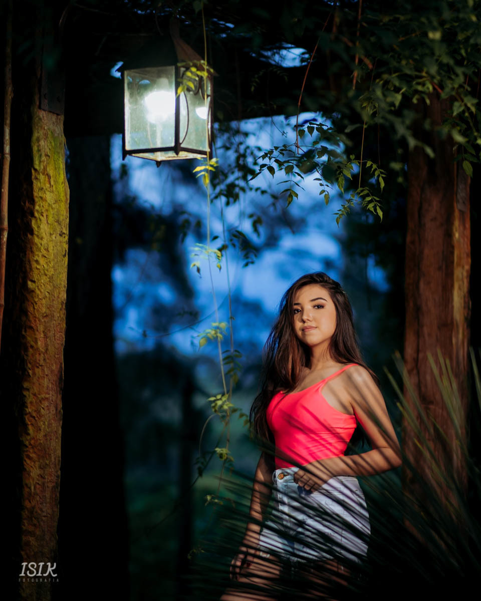 ensaio 15 anos ensaio debutante ensaio feminino book 15 anos 