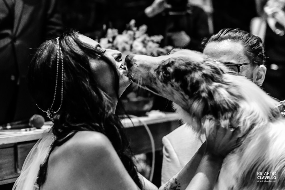  - Fotografia de Casamento -  Bistrô 160 - Fotografia de Casamento RJ - Fotografia de Casamento Niterói - Fotografia de Casamento JF - Melhores Fotos de Casamento - Fotógrafo de Casamento RJ - Fotógrafo de Casamento Juiz de Fora - Fotógrafo Juiz de Fora -