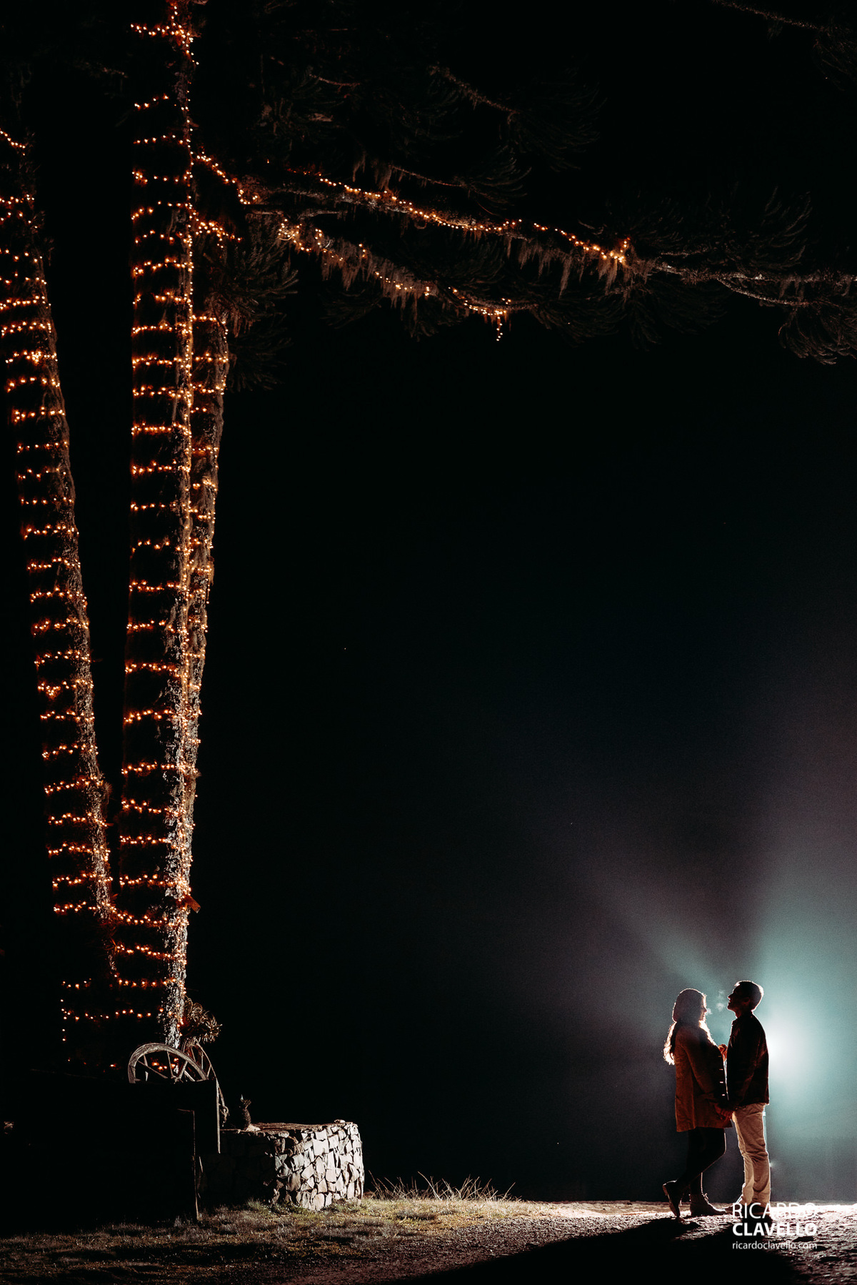 Ensaio Casal - Pre Wedding - Fotografia de Casamento - Bento Gonçalves - Porto Aletre - Cambará do Sul - Cânion Fortaleza RS - Rio Grande do Sul - Ricardo Clavello