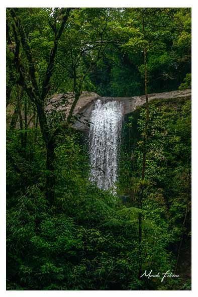 Quadro decorativo - Cachoeira e floresta - Marcelo Fabiano Fotografia 