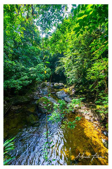 Quadro decorativo - Natureza, cachoeira, água e floresta -Marcelo Fabiano Fotografia