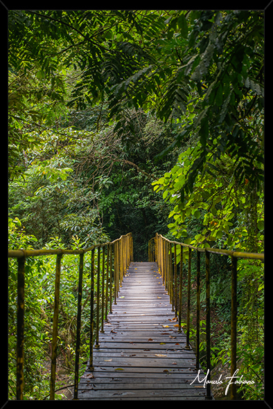 Quadros decorativos linha Natureza - Marcelo Fabiano Fotografia e vídeo