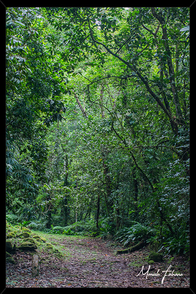 Decore sua casa ou escritório com quadros do fotógrafo Marcelo Fabiano - Linha natureza