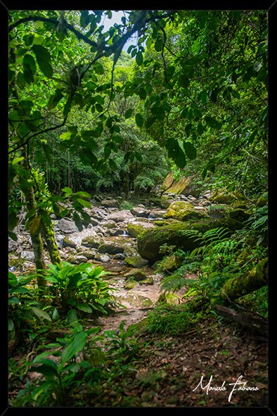 Quadros decorativos para ambientes linha natureza/ com a assinatura do fotógrafo Marcelo Fabiano
