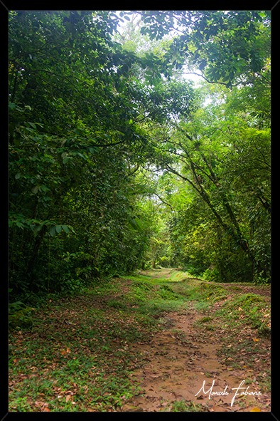 Os melhores quadros decorativos para sua casa ou escritório / Marcelo Fabiano Fotografia