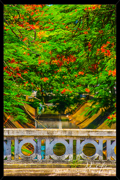Quadro decorativo Canal 6 em Santos S.P / Marcelo Fabiano Fotografia