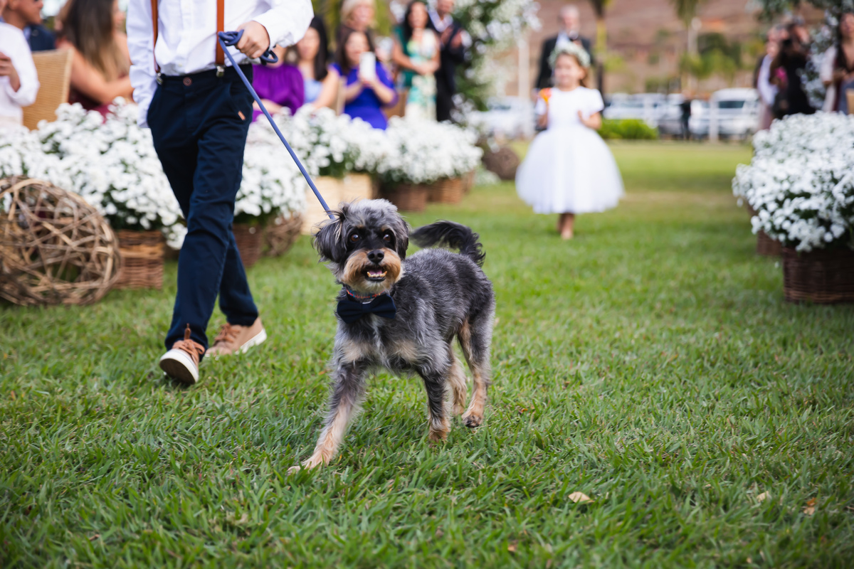pet cerimonia Vale dos Desejos  Fernanda e Leo  Casamento