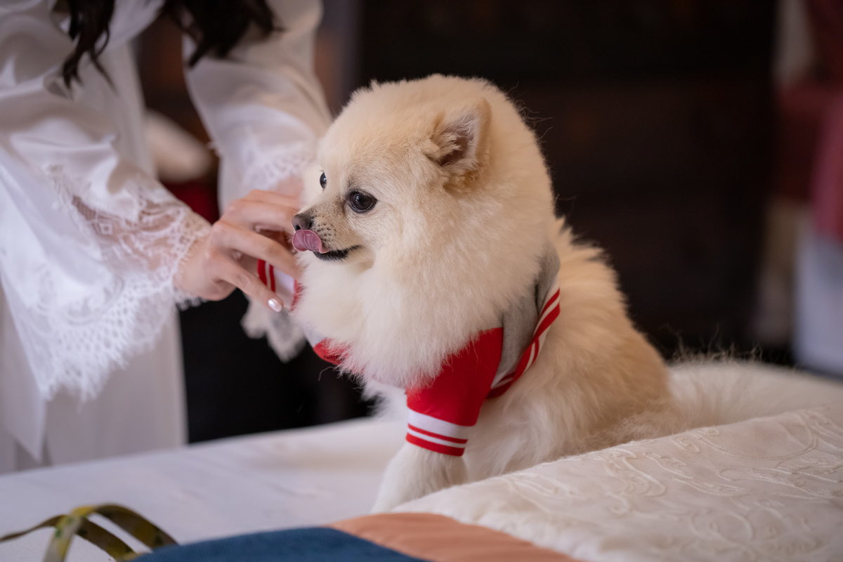 fotografo casamento petrópolis locanda della mimosa itaiapva