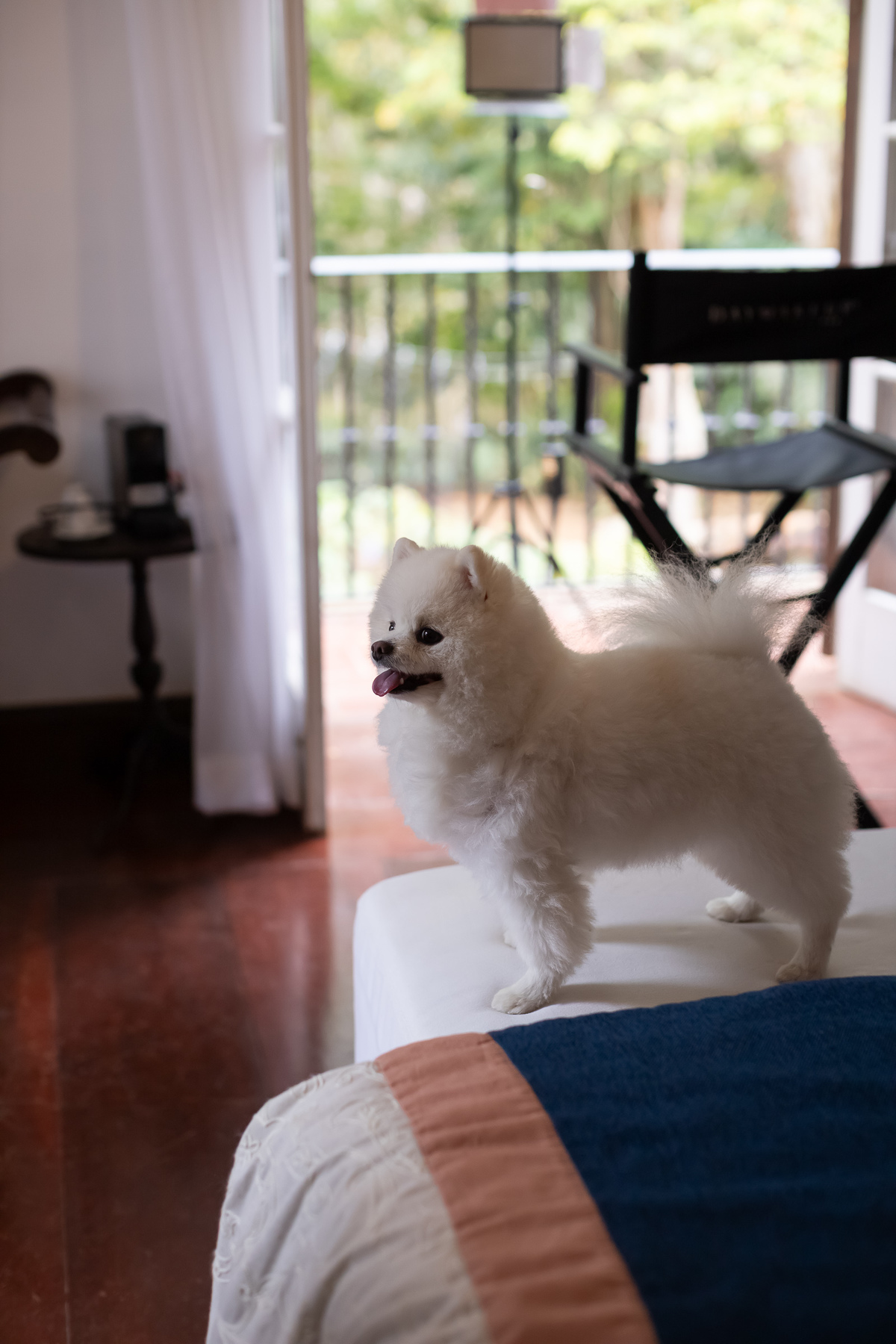 fotografo casamento petrópolis locanda della mimosa itaiapva
