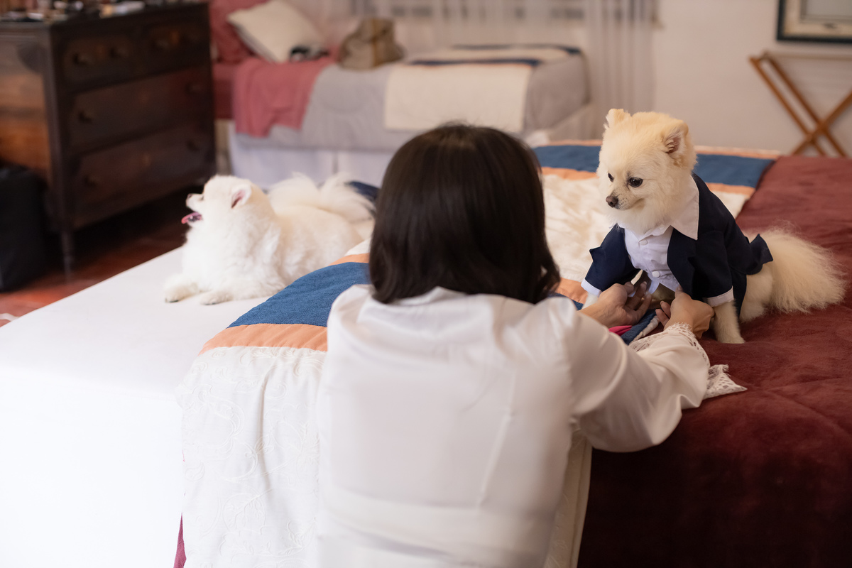 fotografo casamento petrópolis locanda della mimosa itaiapva