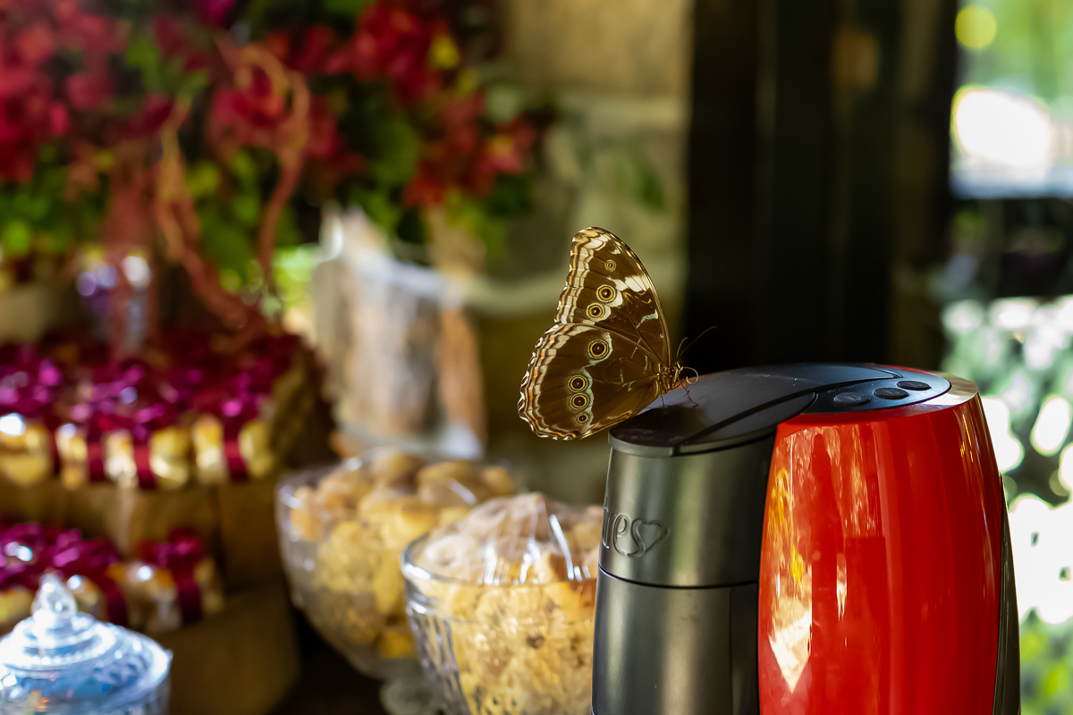 decoração e detalhes casamento de Raquel e Marcelo no Casa do Lago Enfesta