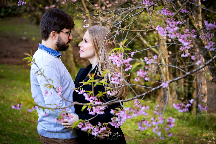 casal na cerejeira 