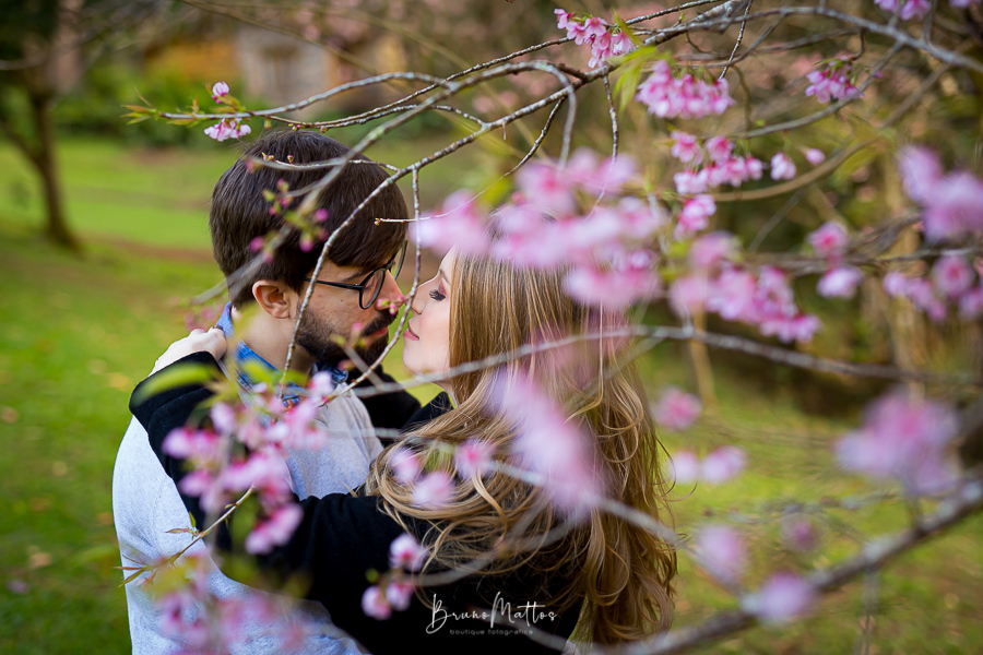 casal se beijando na cerejeira