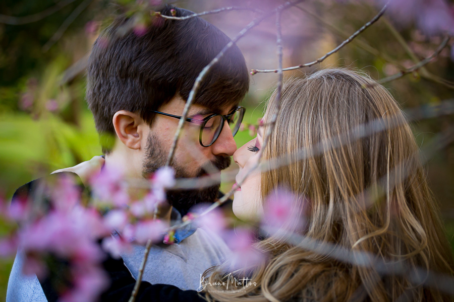casal de olhos fechados na cerejeira