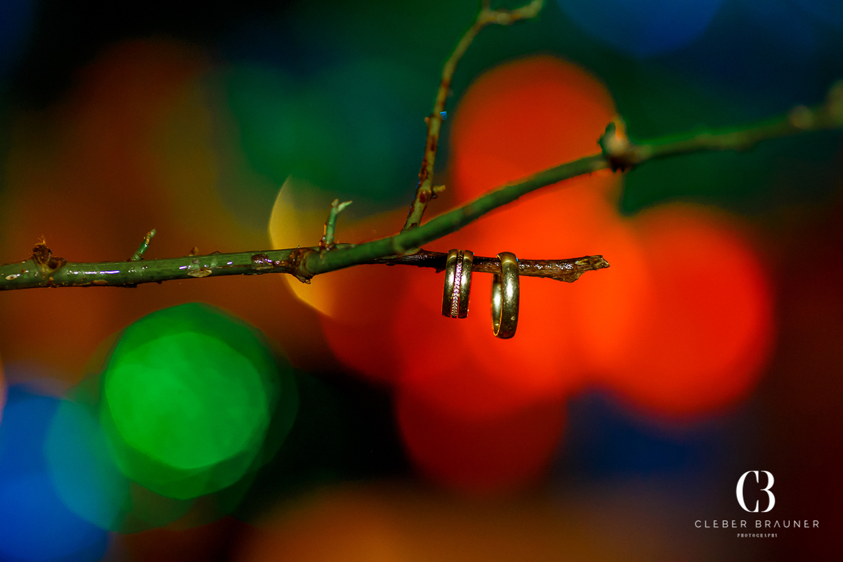 Lindo casamento realizado na Villa Tuiuty em Bento Gonçalves Rs, fotografado por Cleber Brauner, fotógrafo de casamento de Garibaldi e Porto alegre. Fotos do ensaio e trash the dress no site