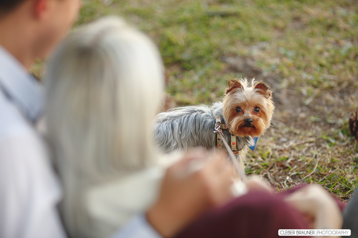 Lindo ensaio fotográfico, fotografado no Parque de Exposeção Assis Brasil, fotos feitas pelo fotografo Cleber Brauner
