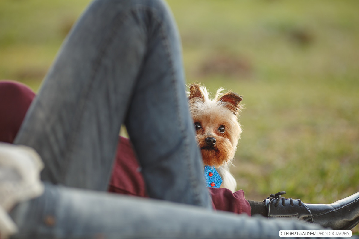 Lindo ensaio fotográfico, fotografado no Parque de Exposeção Assis Brasil, fotos feitas pelo fotografo Cleber Brauner