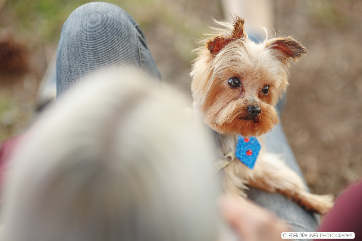 Lindo ensaio fotográfico, fotografado no Parque de Exposeção Assis Brasil, fotos feitas pelo fotografo Cleber Brauner