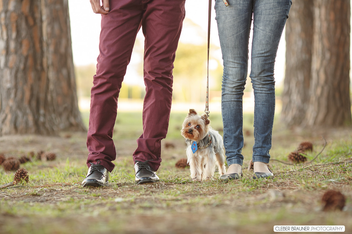 Lindo ensaio fotográfico, fotografado no Parque de Exposeção Assis Brasil, fotos feitas pelo fotografo Cleber Brauner