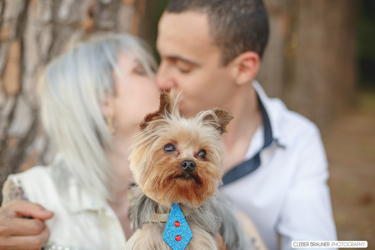 Lindo ensaio fotográfico, fotografado no Parque de Exposeção Assis Brasil, fotos feitas pelo fotografo Cleber Brauner