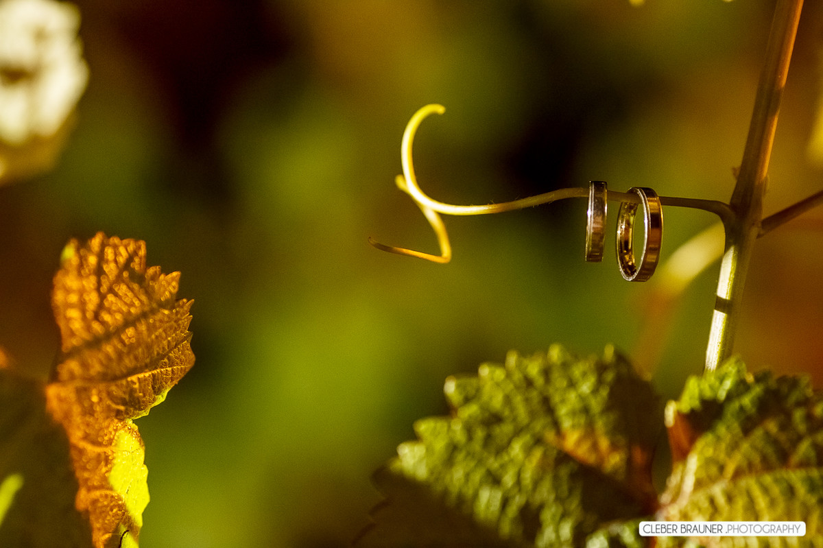 Lindo casamento fotografado na VinicolaCave de Pedra, em Bento Gonçalves na Serra Gaucha, pelo fotógrafo de casamento de Garibaldi Cleber Brauner.