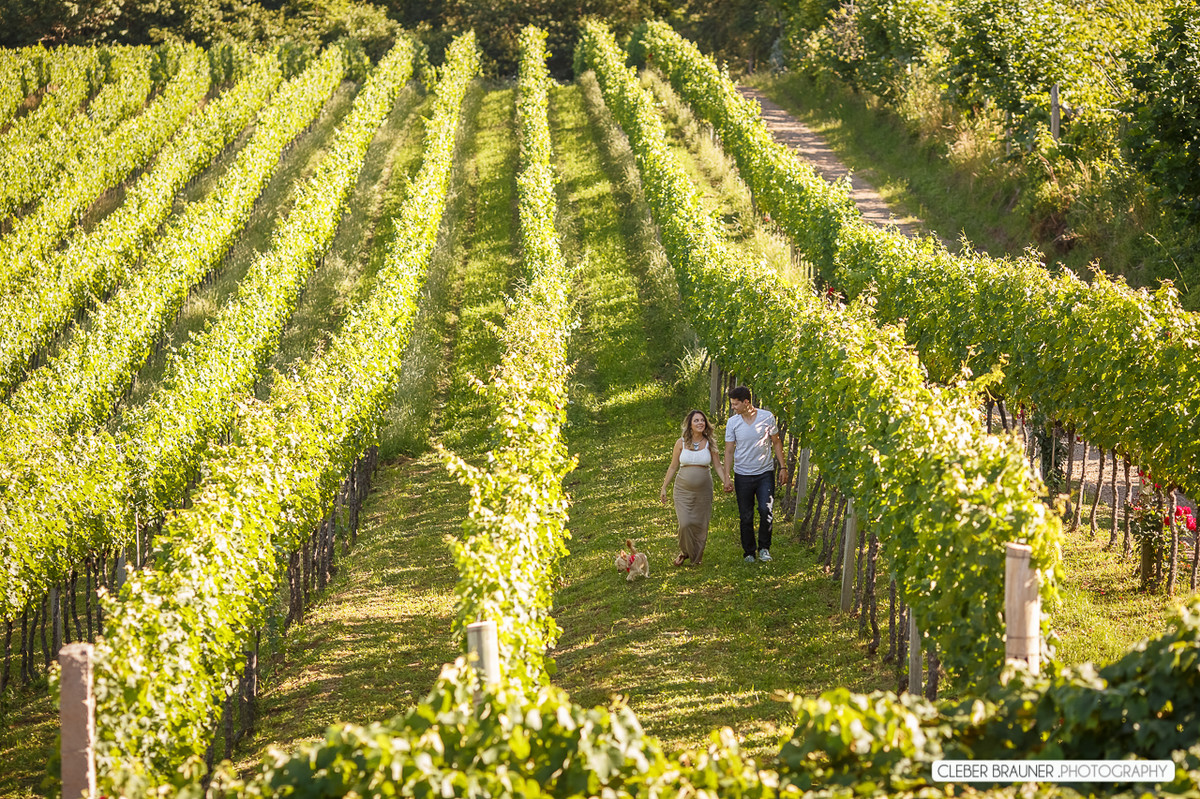 Lindo ensaio gestante fotografado na vinicola valduga em Bento Gonçalves Rs, pelo fotógrafo de casamento de Caxias do Sul Cleber Brauner