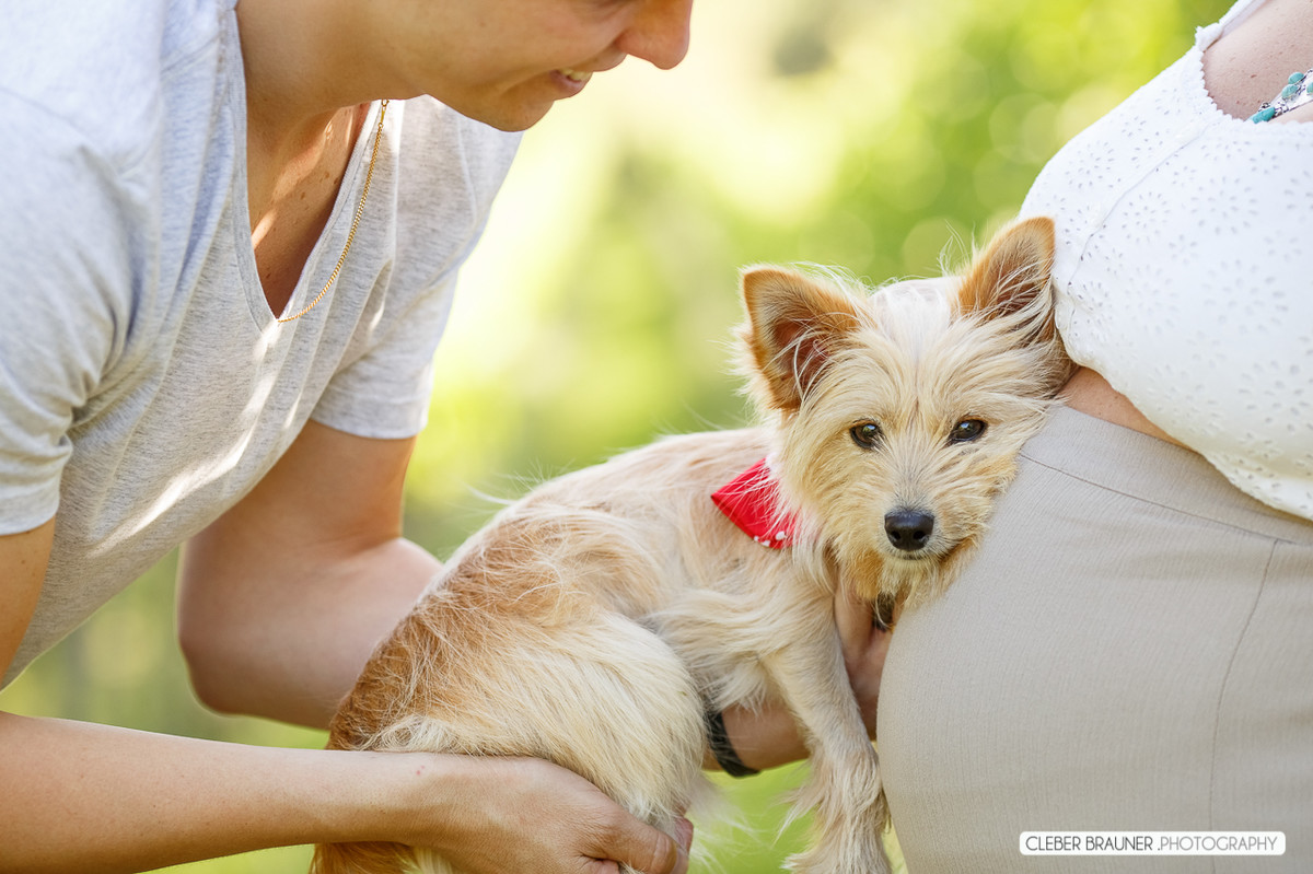 Lindo ensaio gestante fotografado na vinicola valduga em Bento Gonçalves Rs, pelo fotógrafo de casamento de Caxias do Sul Cleber Brauner