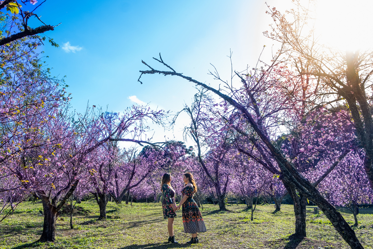 Ensaio Pre Wedding no Parque do Carmo realizado na Festa das Cerejeiras da Tamara e da Lorena